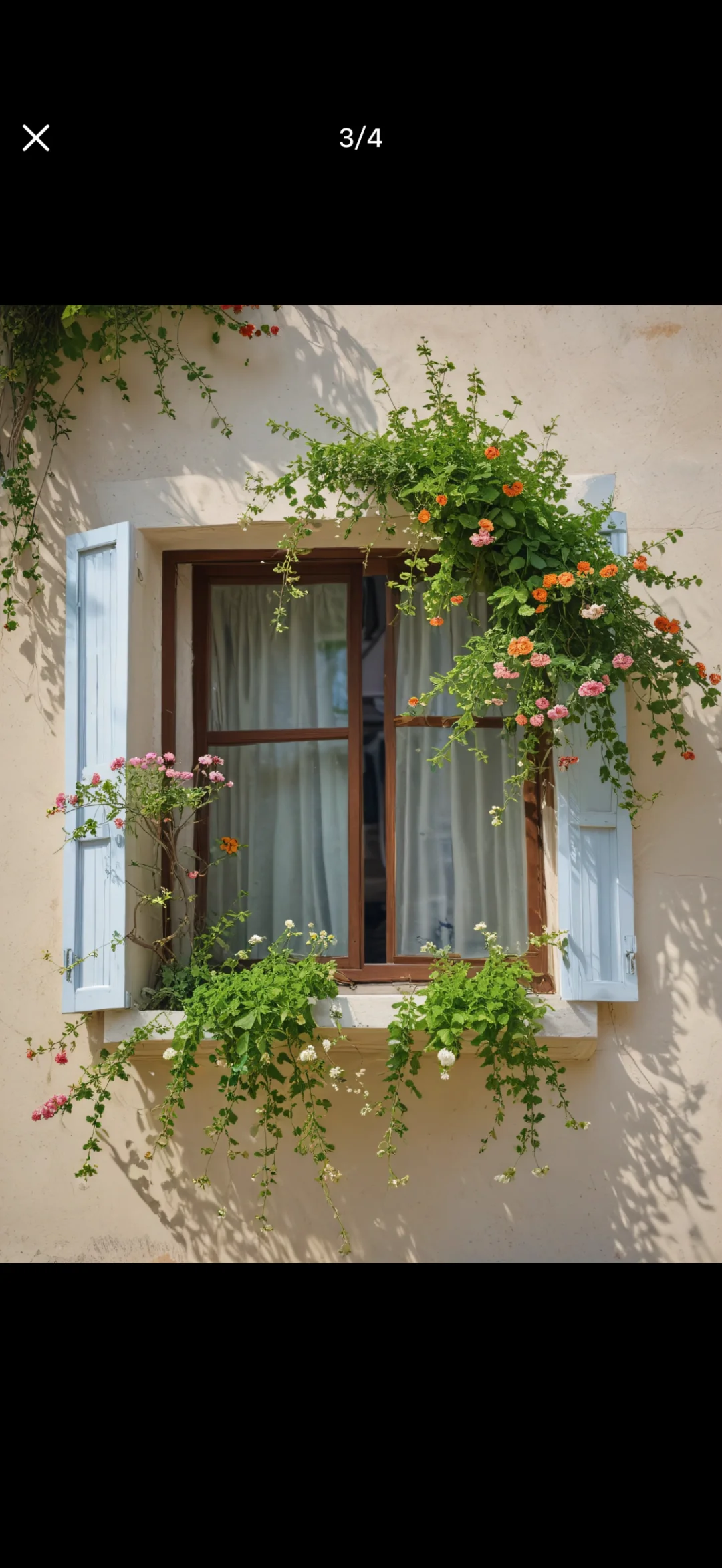 澳超周四,赛事,麦克阿瑟,亚博体育,亚博体育官网,亚博体育app,亚博体育下载